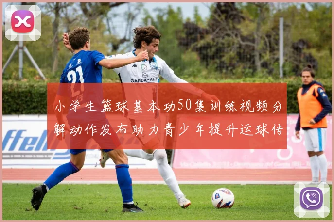 小学生篮球基本功50集训练视频分解动作发布助力青少年提升运球传球能力