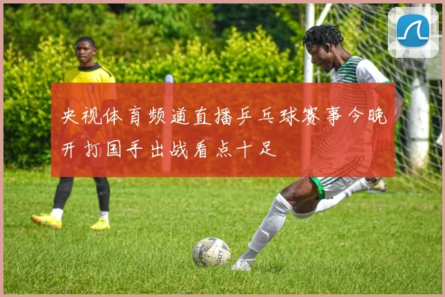 央视体育频道直播乒乓球赛事今晚开打国手出战看点十足